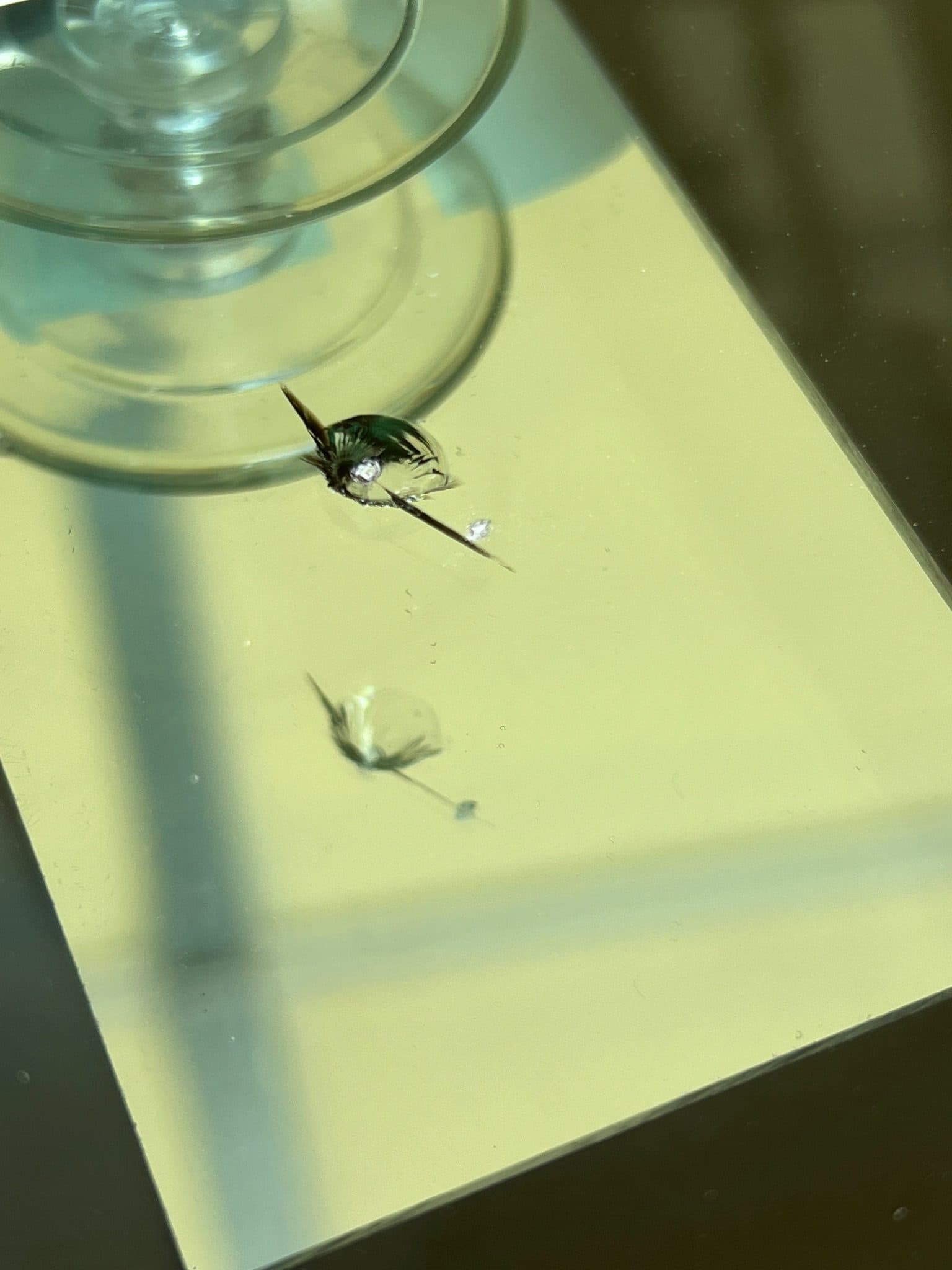 Windshield chip and crack repair at Grimeaway Autoworks